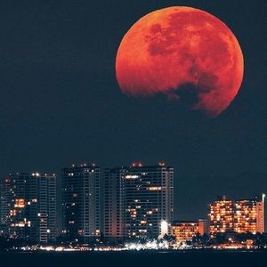 Meet your Posher, Lyric